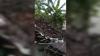Hujan Disertai Angin Kencang Rusak 45 Rumah di Bojonegoro, 1 Orang Luka