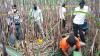 Kerangka Manusia yang Ditemukan di Kebun Tebu Malang Diduga ODGJ