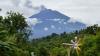 Petani di Solok Selatan Keluhkan Tanaman Rusak akibat Abu Vulkanik Gunung Kerinci