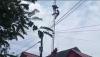 Mekanik Antena Sidoarjo Tewas Menggantung di Atas Tower 20 Meter, Evakuasi Dramatis 
