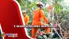Heboh, 3 Warga di Mandailing Natal Hilang Misterius, Diduga Dimangsa Binatang Buas