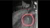 Beredar Video Diduga Pembunuh Perempuan di Hotel Blora, Pria Gondrong Telanjang Bulat