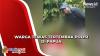 Tewasnya Warga akibat Tertembak Polisi Picu Kericuhan di Papua Tengah