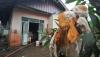 Banjir Kota Bengkulu Berangsur Surut, Sisa-Sisa Lumpur Penuhi Rumah - Bagian 3