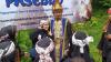 Warga Berebut Foto Bersama Ananda George di Peringatan Hari Jadi Padepokan Padjadjaran