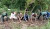Joko Purnomo Sebut Penanaman Mangrove Dukung Upaya Penyelamatan Lingkungan