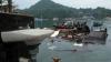 Rentetan Gempa Jayapura Dinilai Fenomena Black Swan Earthquakes, Langka dan Merusak