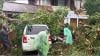 Hujan Deras dan Angin Kencang di Sulut, Sejumlah Pohon Bertumbangan