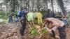 Polisi Temukan Ladang Ganja di Bontocani Bone