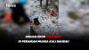 Ribuan Ekor Ikan Mati di Perairan Muara Kali Baubau, Sulawesi Tenggara 