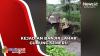 Banjir Lahar Gunung Semeru, Kandang Kambing Warga Hanyut Terbawa Arus
