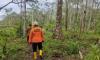 10 Hari Berlalu, Pencarian Nenek Misni Hilang di Hutan Sungai Asam Dihentikan 