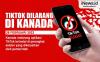 Infografis TikTok Dilarang di Kanada