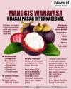 Infografis Manggis Wanayasa Purwakarta Kuasai Pasar Internasional
