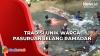 Tradisi Unik Jelang Ramadan, Warga Bersihkan Alat Ibadah di Sumber Mata Air Terbesar di Pasuruan
