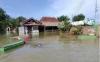 Banjir di Pati Sisakan 1 Desa yang Masih Terdampak, Ini Penampakannya
