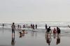Libur Nyepi, Dinas Pariwisata Bantul Catat 11.128 Wisatawan Padati Objek Wisata Pantai