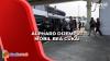 Viral! Alphard Dijemput Mobil Bea Cukai Masuk Apron Bandara