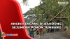 Pohon Tumbang Diterjang Angin Kencang di Bandung