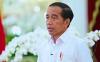 Jokowi Akan ke 6 Negara Afrika Pekan Depan, untuk Apa?