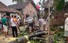 Hujan Disertai Angin Kencang di Kota Yogyakarta, Pohon Tumbang dan Atap Beterbangan