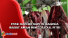 Jelang Idul Fitri, Stok Daging Sapi di Bangka Barat Aman