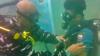 Begini Upacara Kenaikan Pangkat Prajurit TNI AL di Bawah Laut, Kedalaman 15 Meter