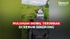 Viral, Puluhan Mobil Terjebak di Kebun Singkong Sukabumi
