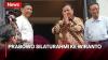 Prabowo Silaturahmi ke Wiranto: Tradisi Lebaran ke Senior