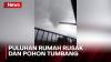 Video Amatir Rekam Momen Terbentuknya Angin Puting Beliung yang Landa Cidahu Sukabumi