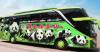 Deretan PO Bus Bergambar Hewan, Ada yang Gunakan Panda untuk Ubah Image