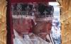 Foto-Foto King Charles III Pakai Mahkota Raja - Bagian 3