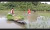 Ratusan Hektare Sawah Terendam Banjir, Petani di Ogan Ilir Menjerit