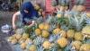 6 Manfaat Buah Nanas Madu Khas Pemalang, Nomor 4 Cocok untuk Program Hamil