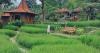 10 Tempat Makan Lesehan di Bogor yang Enak dan Murah, Nomor 3 Suasananya seperti di Ubud