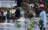 Prajurit TNI-Polri Kompak Tanam Bibit Mangrove di Pesisir Pantai Tirang Semarang - Bagian 4