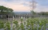 Prajurit TNI-Polri Kompak Tanam Bibit Mangrove di Pesisir Pantai Tirang Semarang - Bagian 2