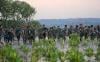 Prajurit TNI-Polri Kompak Tanam Bibit Mangrove di Pesisir Pantai Tirang Semarang