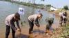 Ratusan Bibit Mangrove Ditanam di Area Pesisir Pekalongan