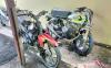 Motor Adu Banteng di Musi Rawas, 1 Tewas 2 Luka Berat 