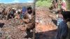 Viral Warga Berebut Daging Kerbau Ilegal yang Dimusnahkan di Tempat Pembuangan Sampah