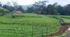 Viral, Kampung Unik di Krajan Tengah, Hanya di Desa Ini Warga Tak Pernah Rasakan Musim Kemarau