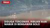 Diduga Tercemar, Ribuan Ikan Mabuk Muncul ke Permukaan Sungai Bengawan Solo