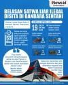 Infografis Penyelundupan Belasan Satwa Liar Digagalkan di Bandara Sentani Jayapura