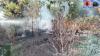 Karhutla di Kobar Meluas, 60 Hektare Lahan Terbakar