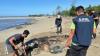 Bangkai Lumba-lumba Tergeletak di Pantai Laut Sawu NTT, Diduga Terdampar