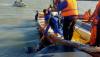 Tragis, ABK Tewas Tercebur ke Laut Gresik saat Hendak Angkut Pupuk ke Padang