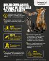 Infografis Bukan Hanya Anjing, Ini Hewan yang Bisa Tularkan Rabies