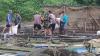 Peternak Ikan Tenggelam di Sungai Batanghari akibat Tersetrum Listrik Ditemukan Tewas 