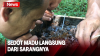 Mencoba Madu Klanceng di Pekalongan, Sedot Langsung dari Sarangnya